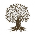 cropped-oak-tree1.png